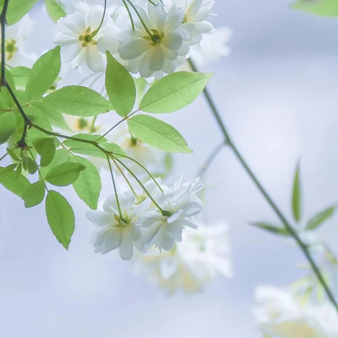 海门置家房产-小美说房