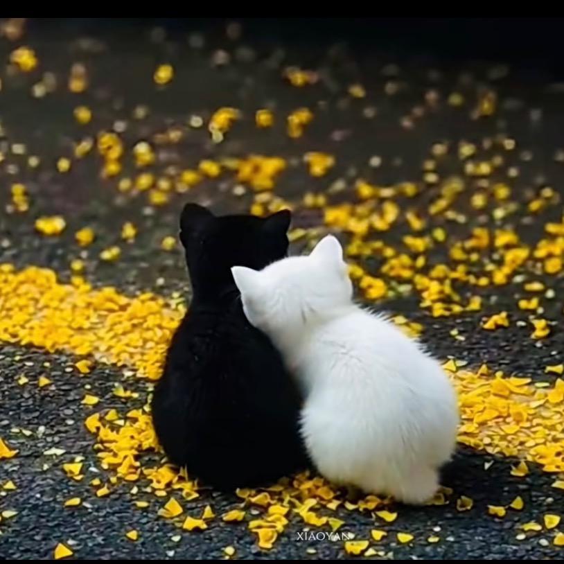 丽儿^_^