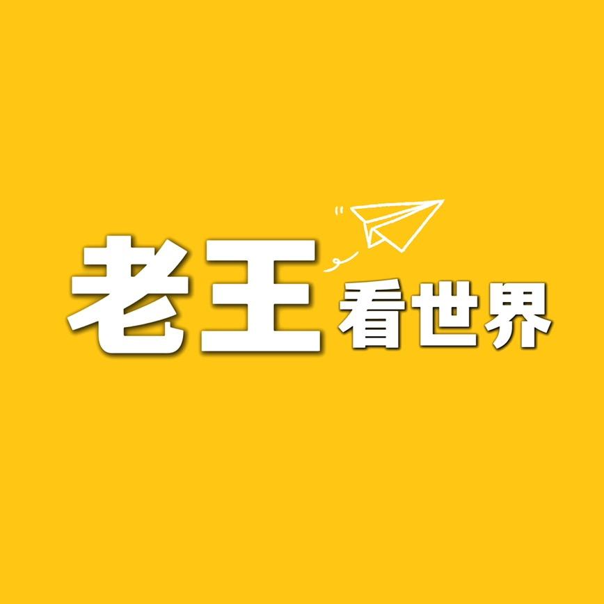 老王看世界