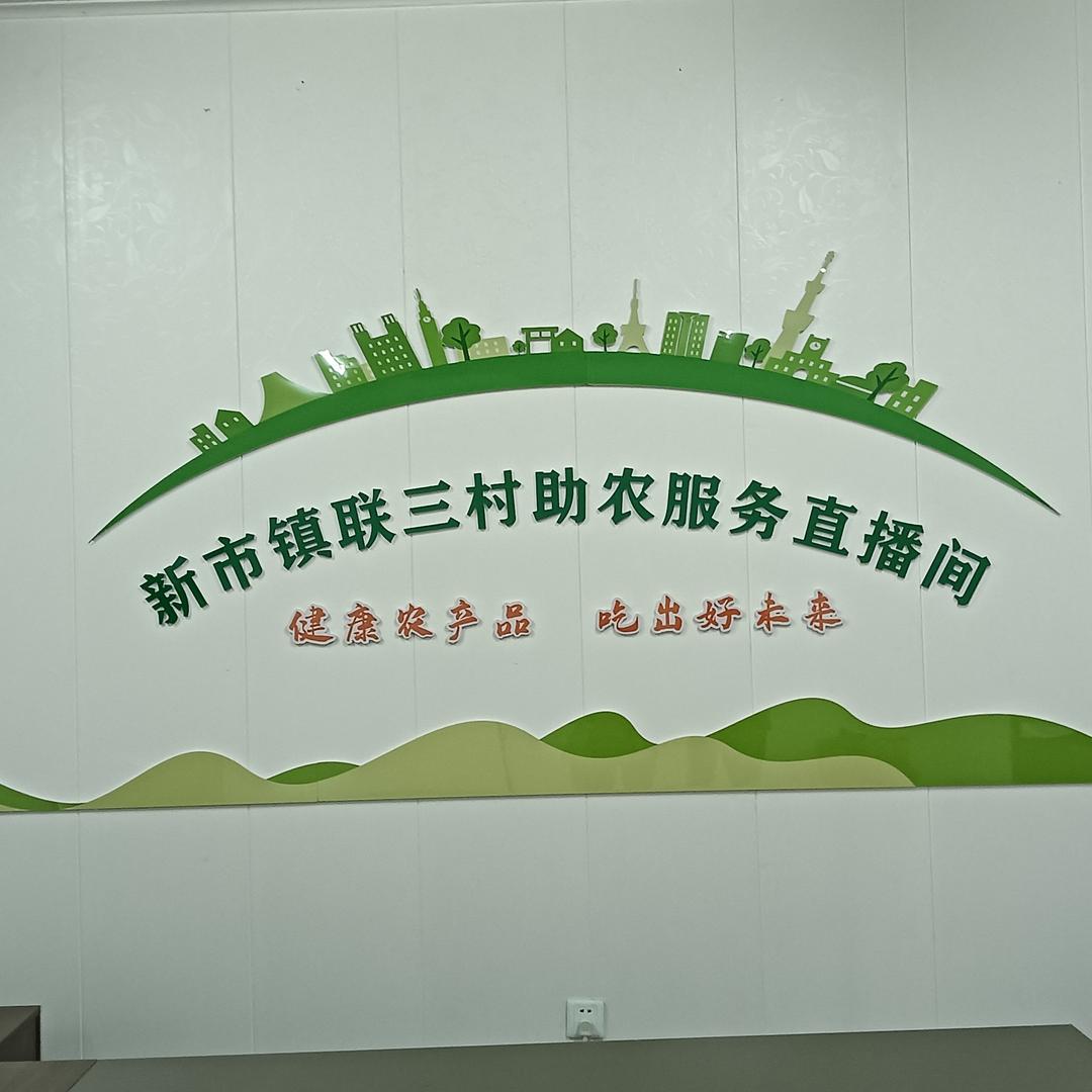 联三村小蒋书记