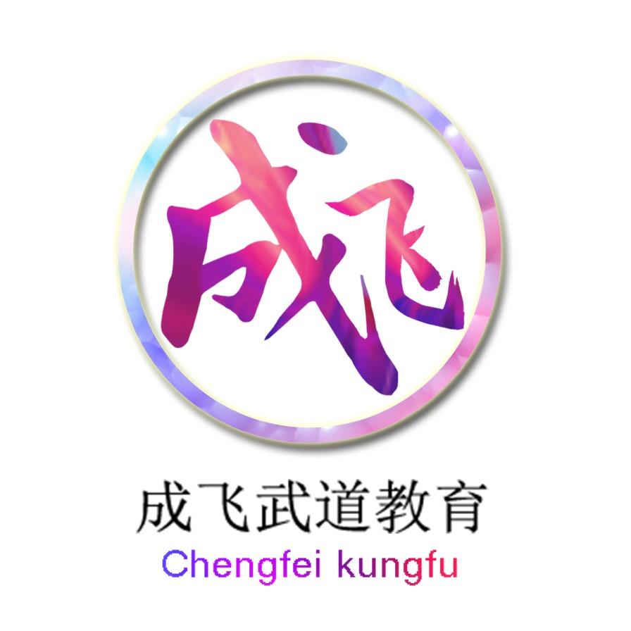 驻马店成飞武术散打搏击