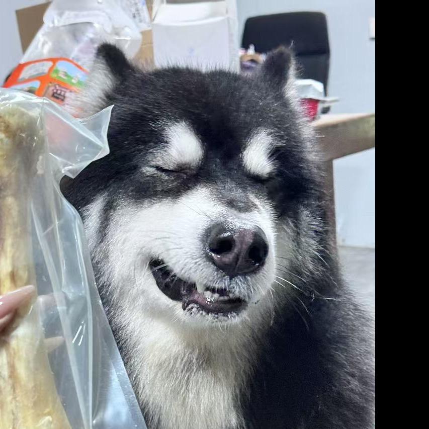白瑞恒