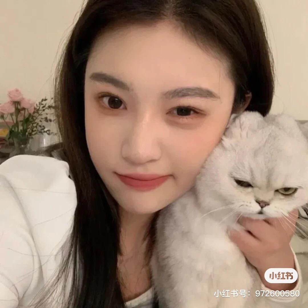 宸辉能源科技