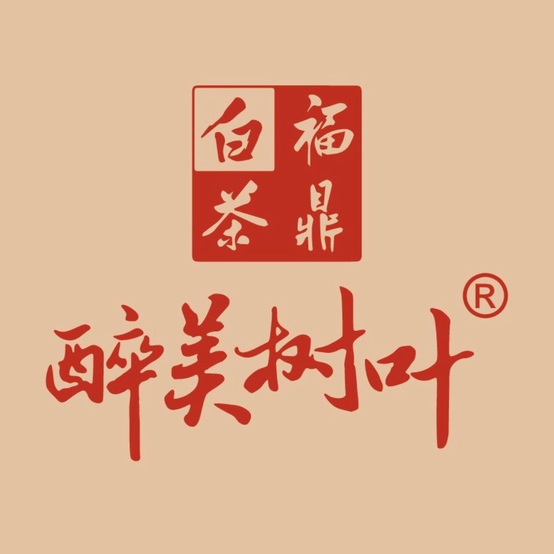 醉美树叶福鼎白茶