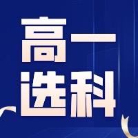 李老师选科指导