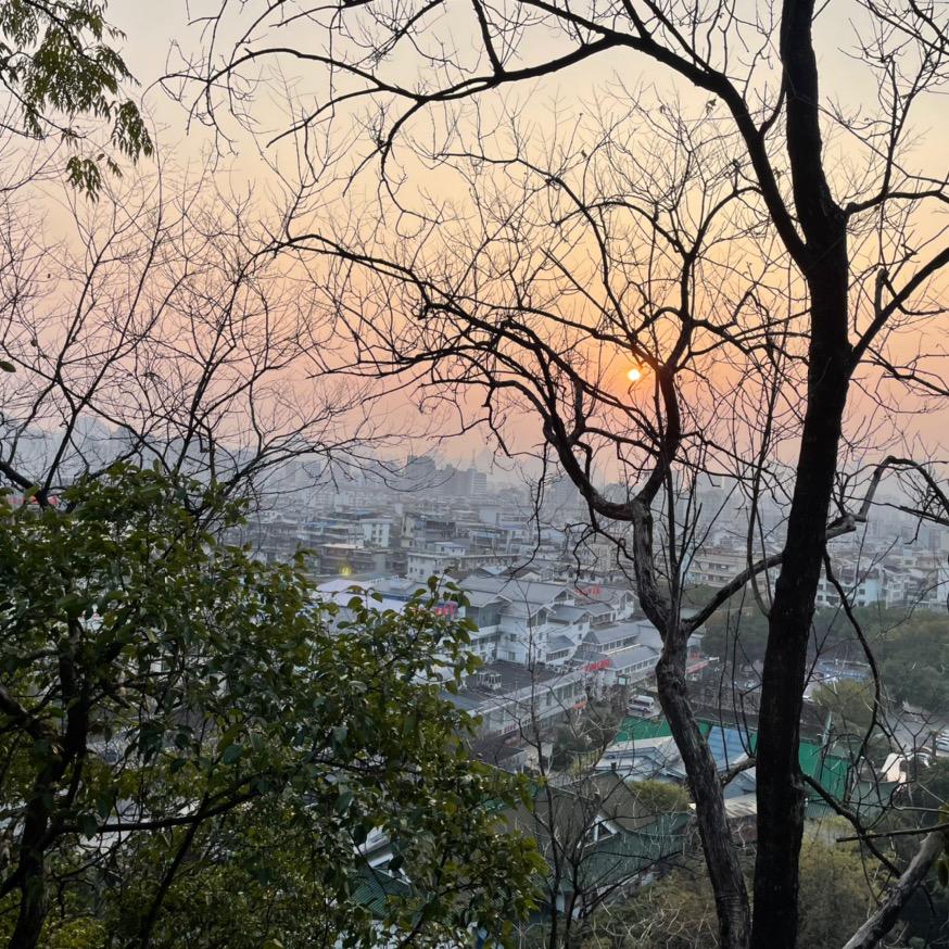 振鑫文化