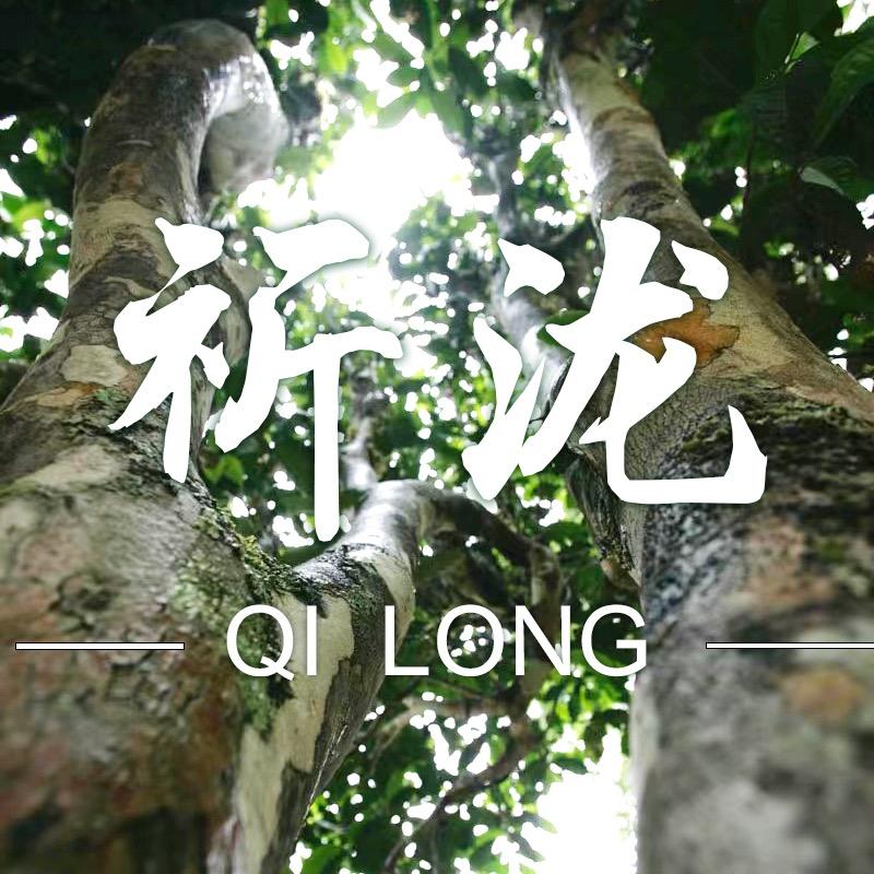 祈泷普洱坊