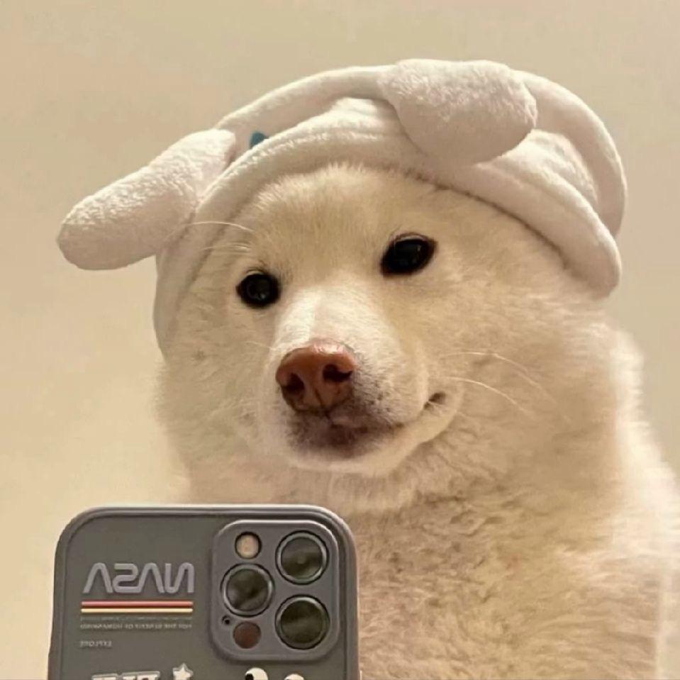 姜 就点