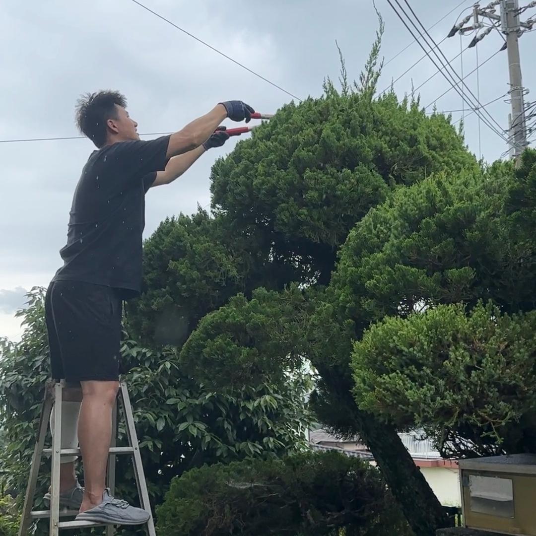 遇见在日本（西山区竹莲阁商贸行）
