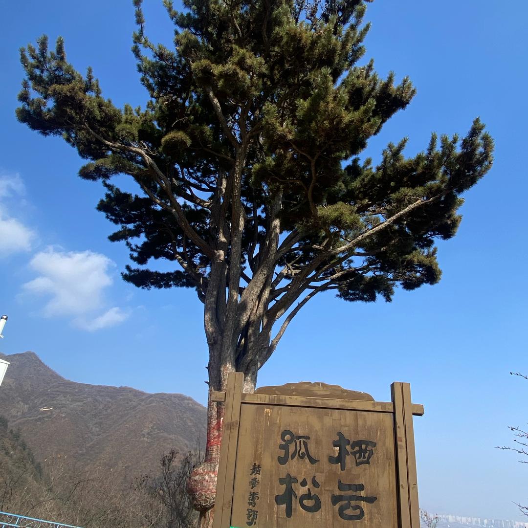 伯渊美术馆