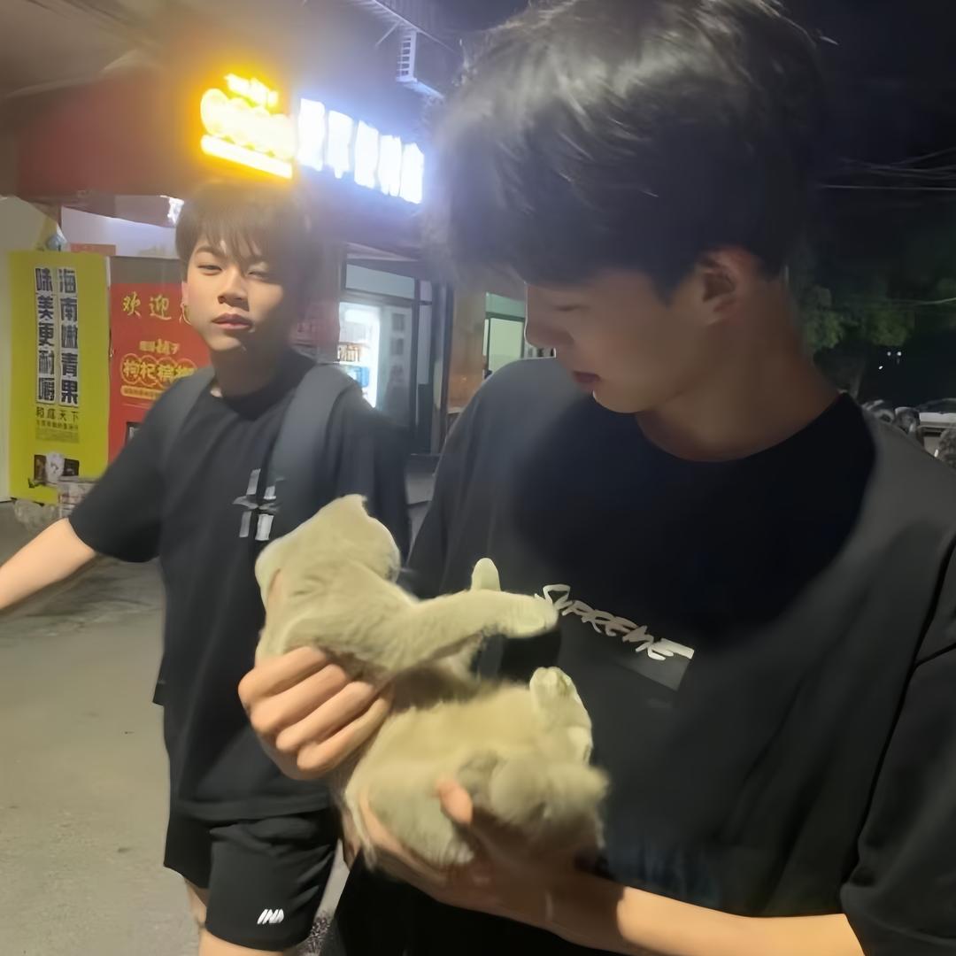 凌江暮