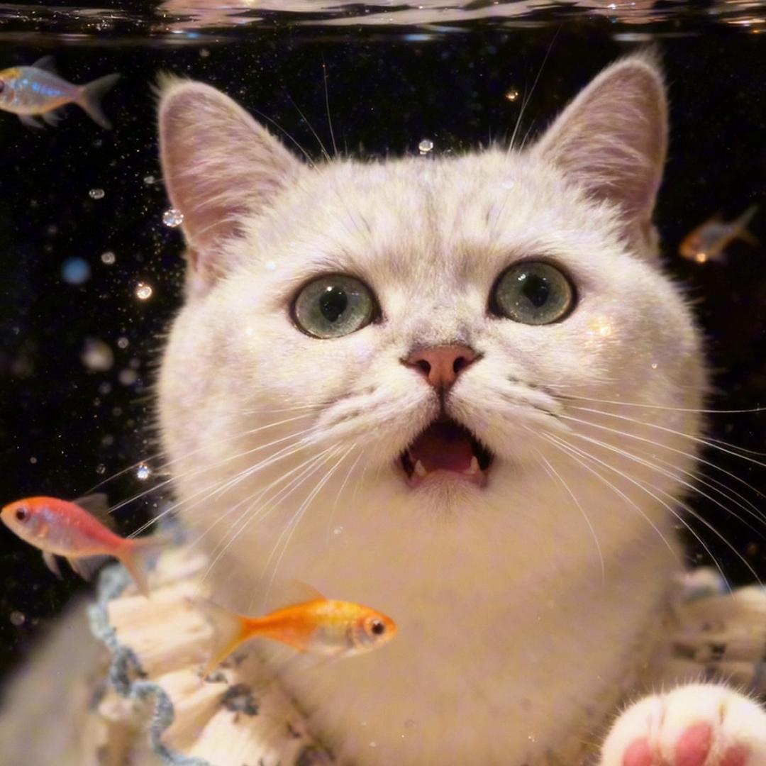 凸凸