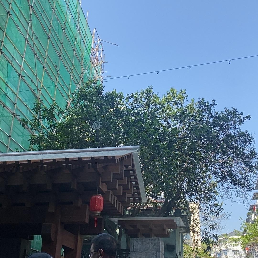 用户6188949565236
