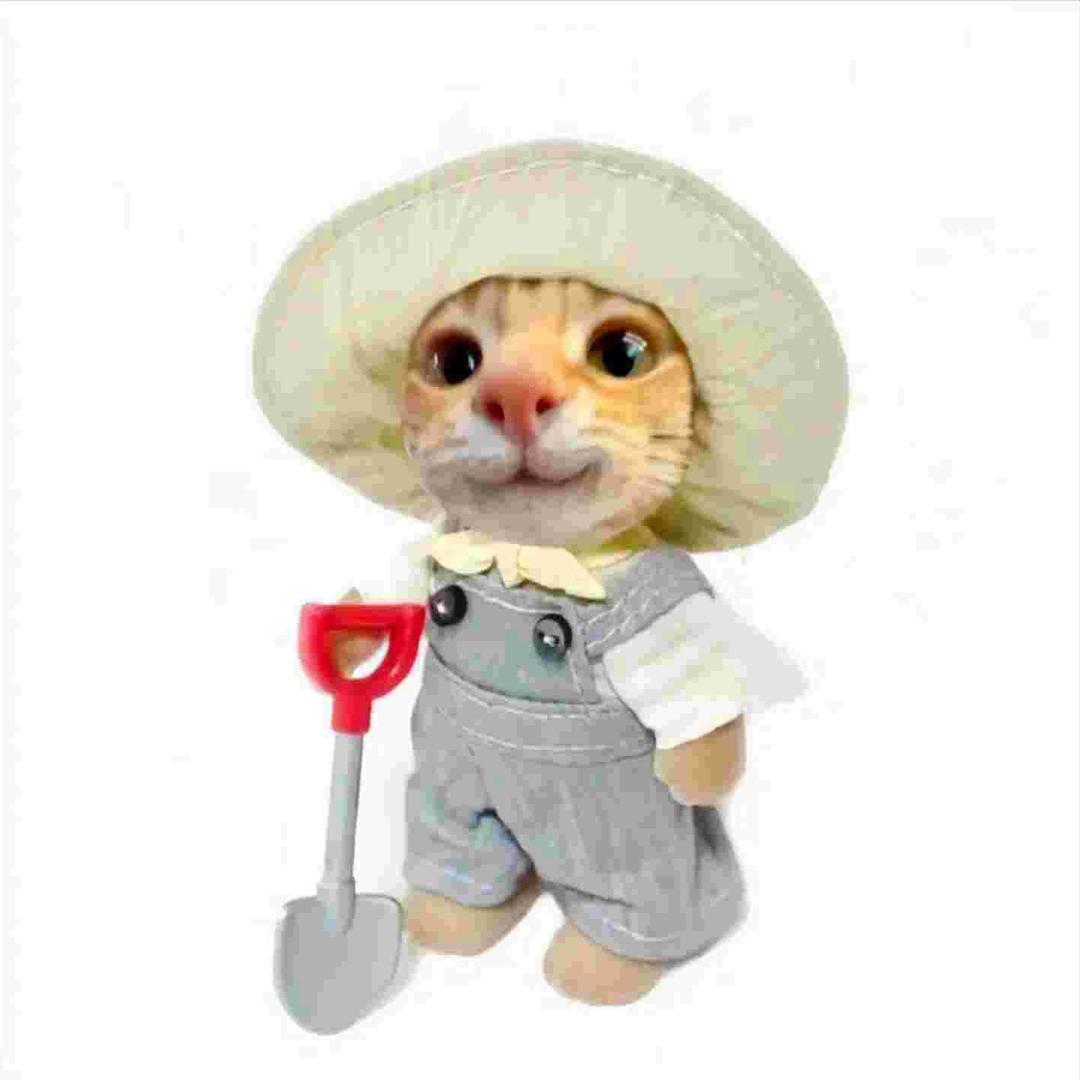 不是口腔楼门前飘小雨