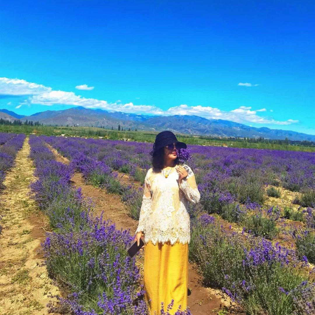 艺鸿美学 💕小号