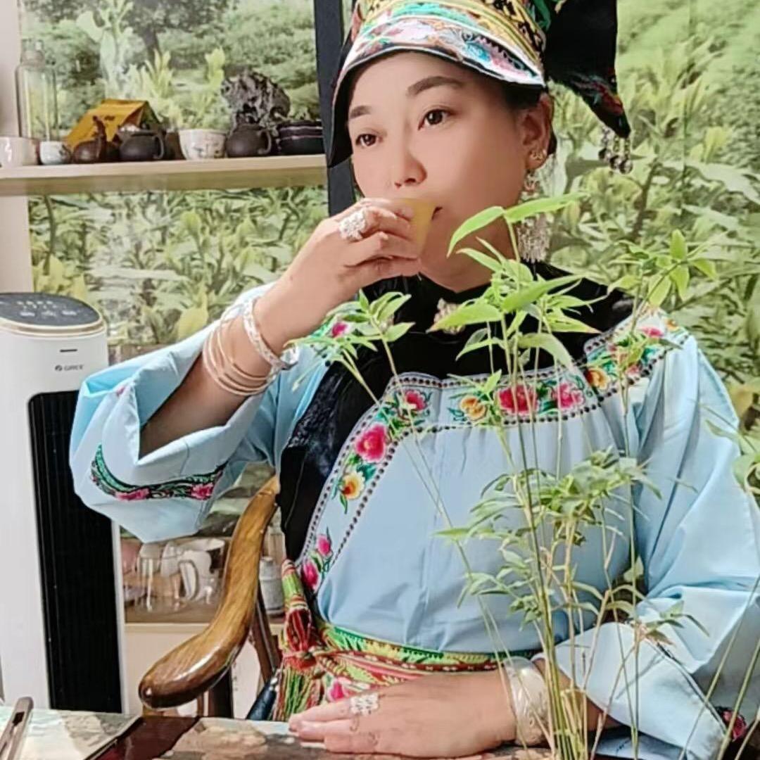 满山青清