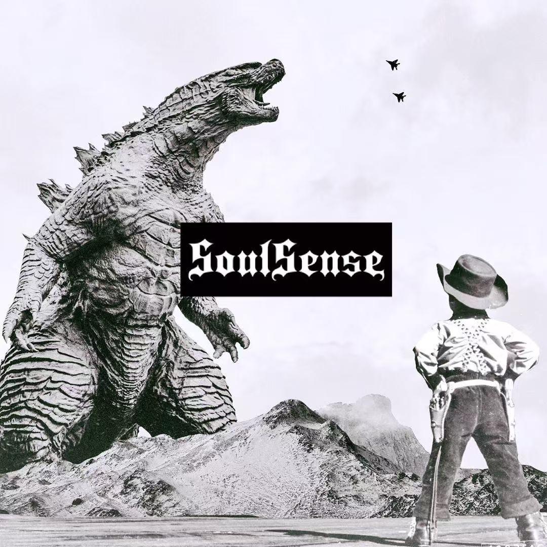 SoulSense时尚旗舰店