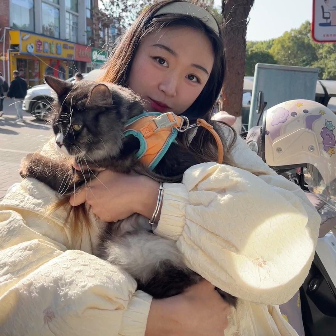 早日发达（世界和平）