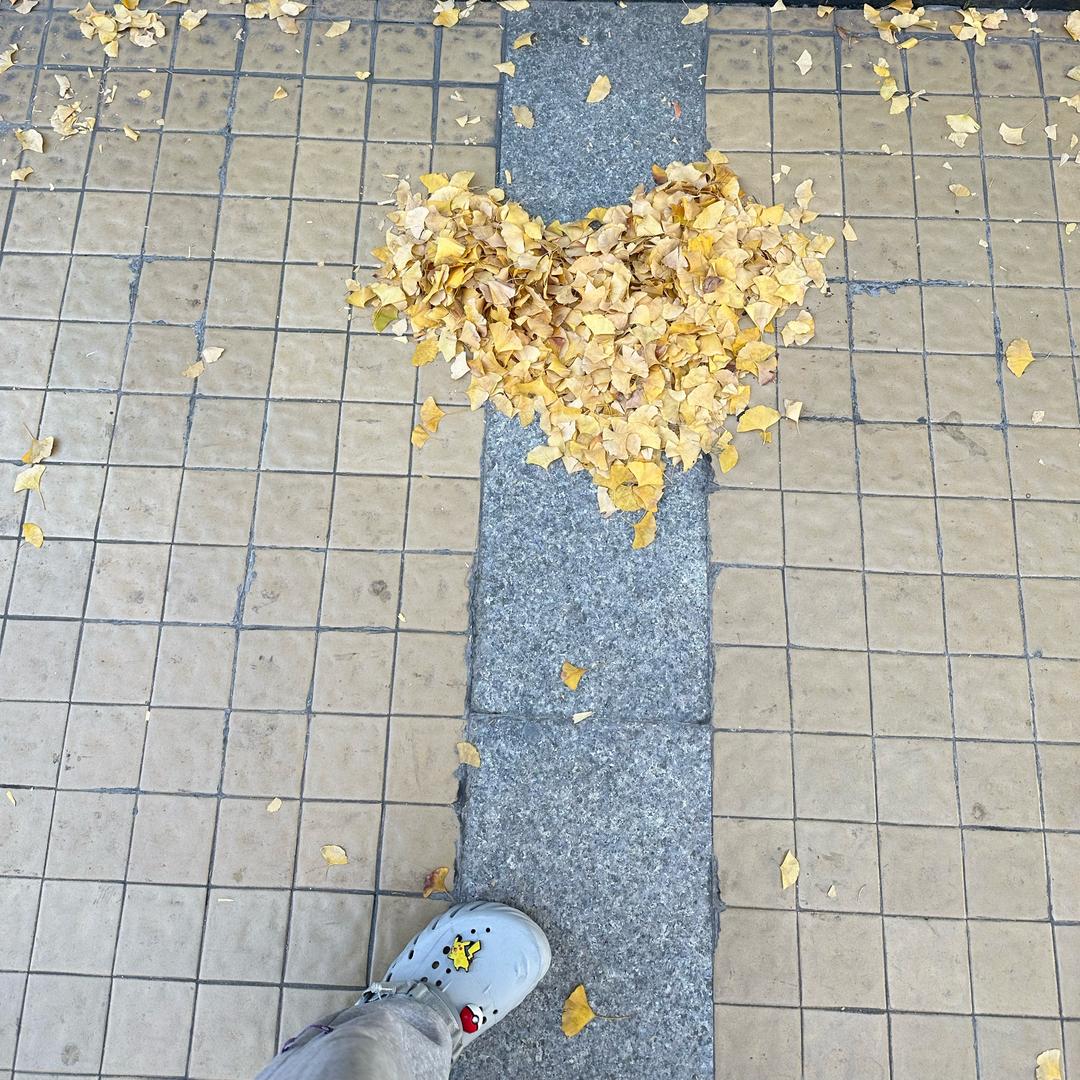 布拉布拉
