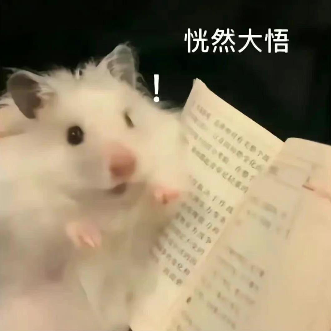 小小爱意不成敬意