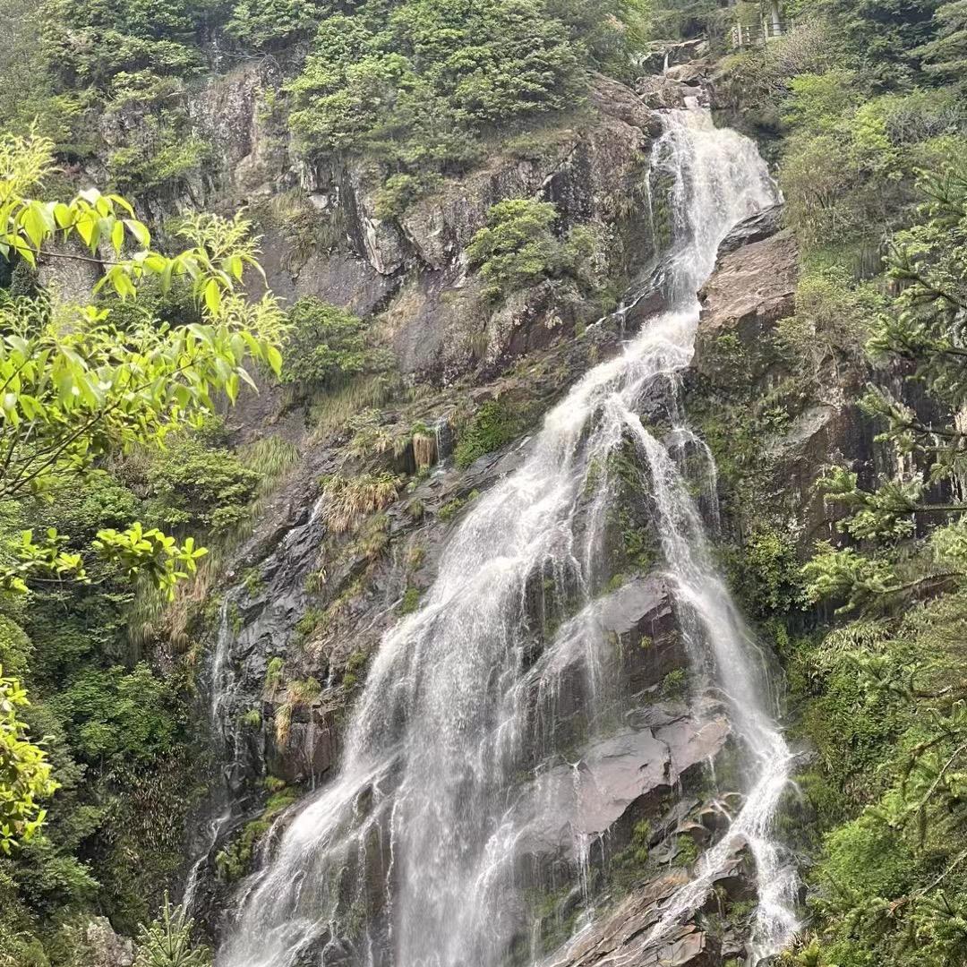 李世林