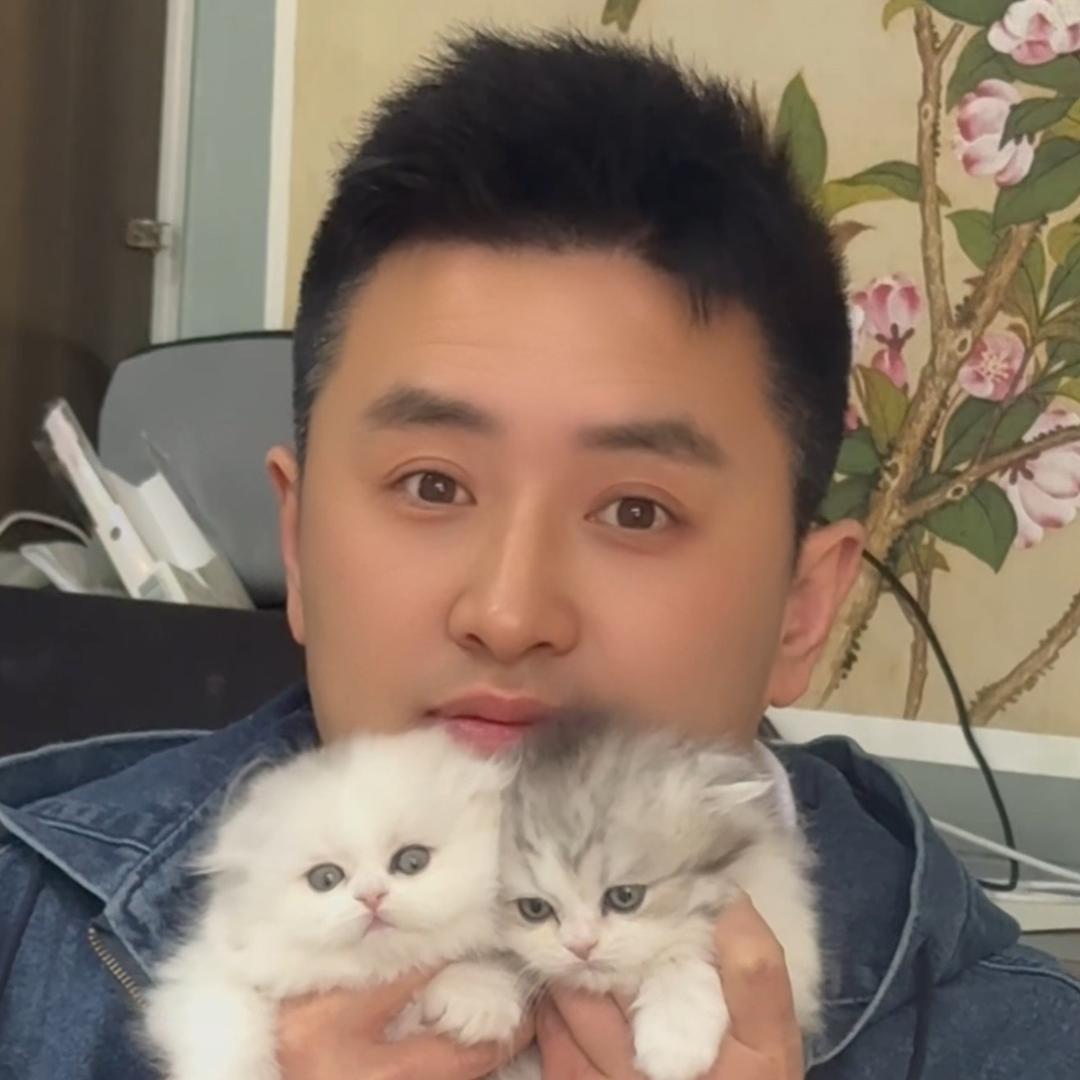 韩哥优选猫