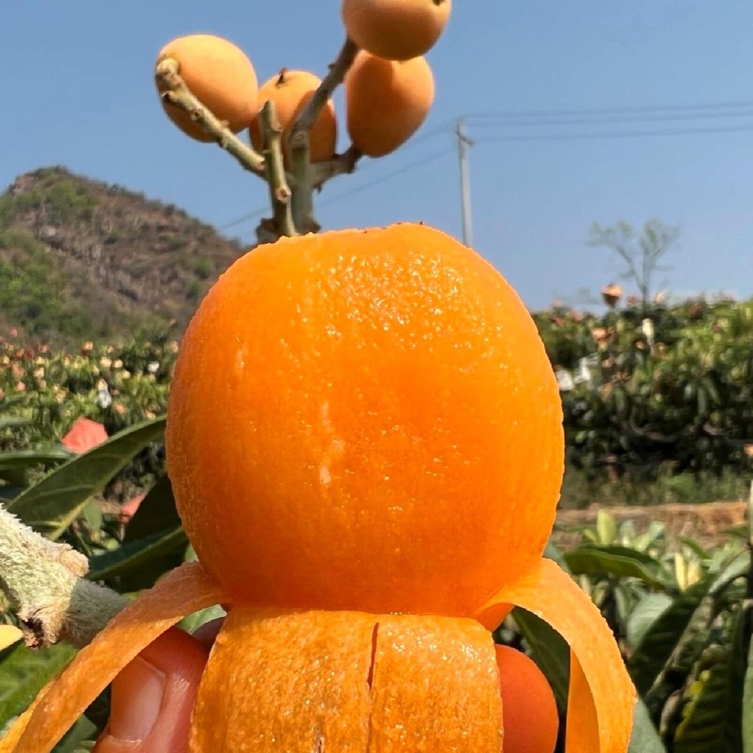 汇果生鲜（专注品质）