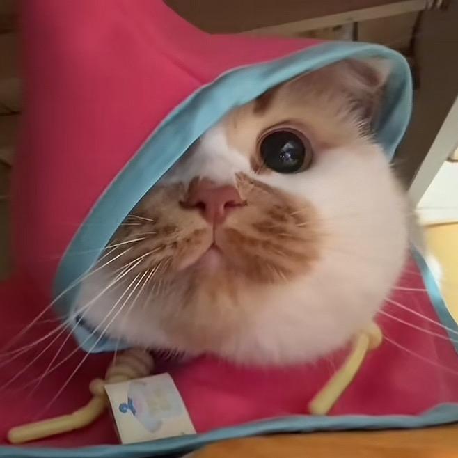 脆弱的牛皮纸袋