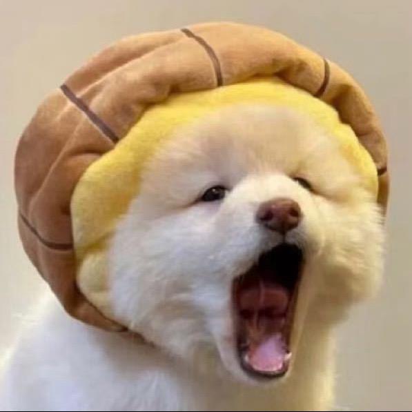 我比狗困Zzz