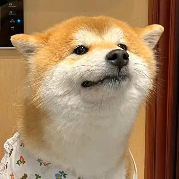 叽叽叽