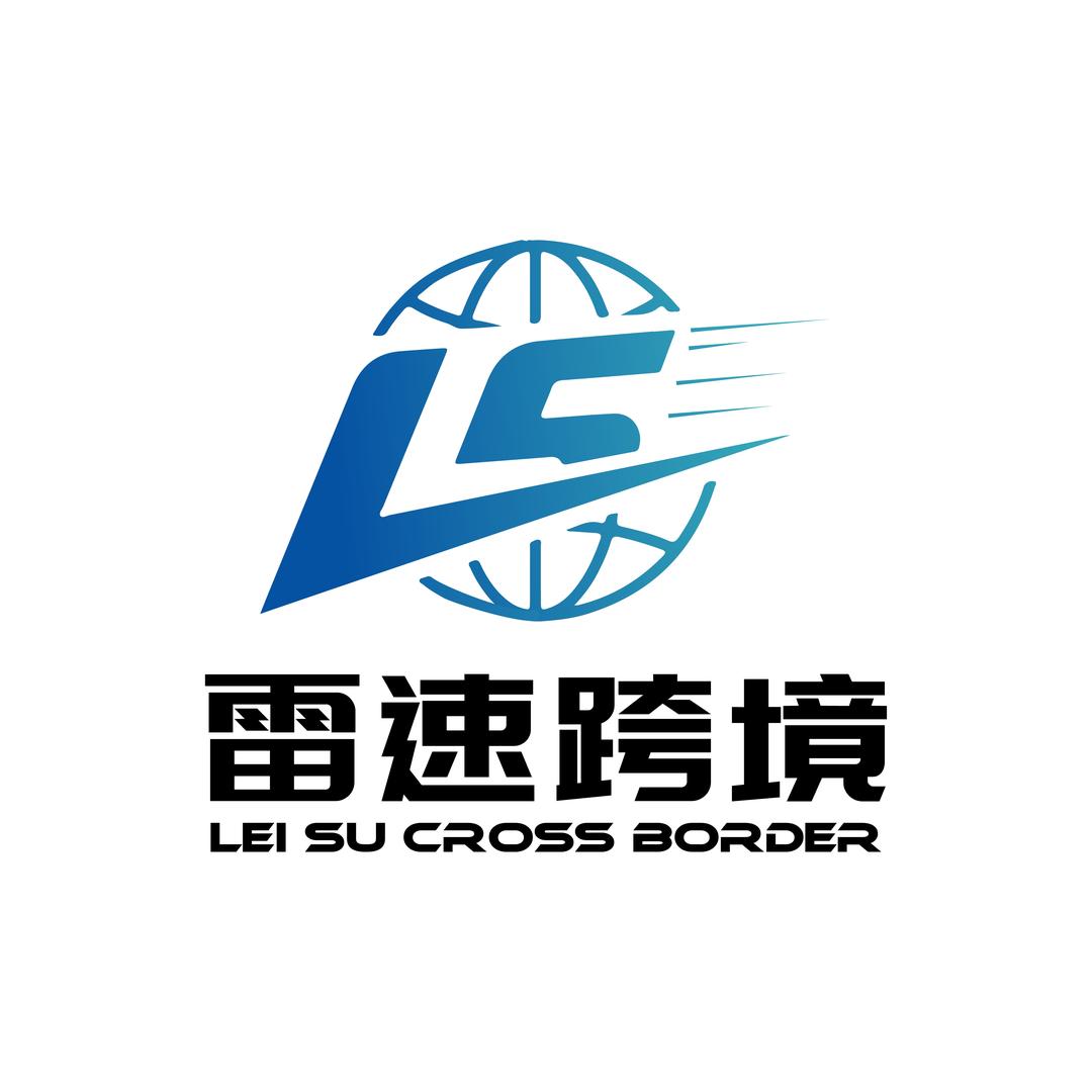 雷速跨境电商