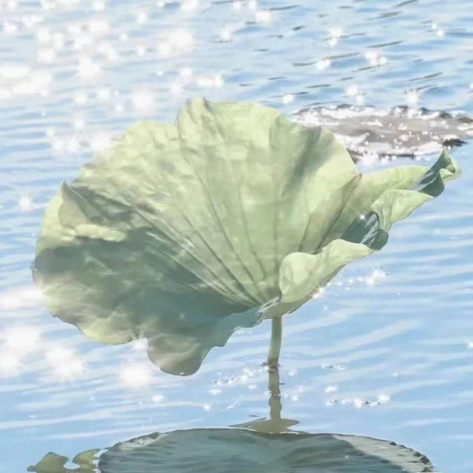 西红市不正常人类研究院刘院长