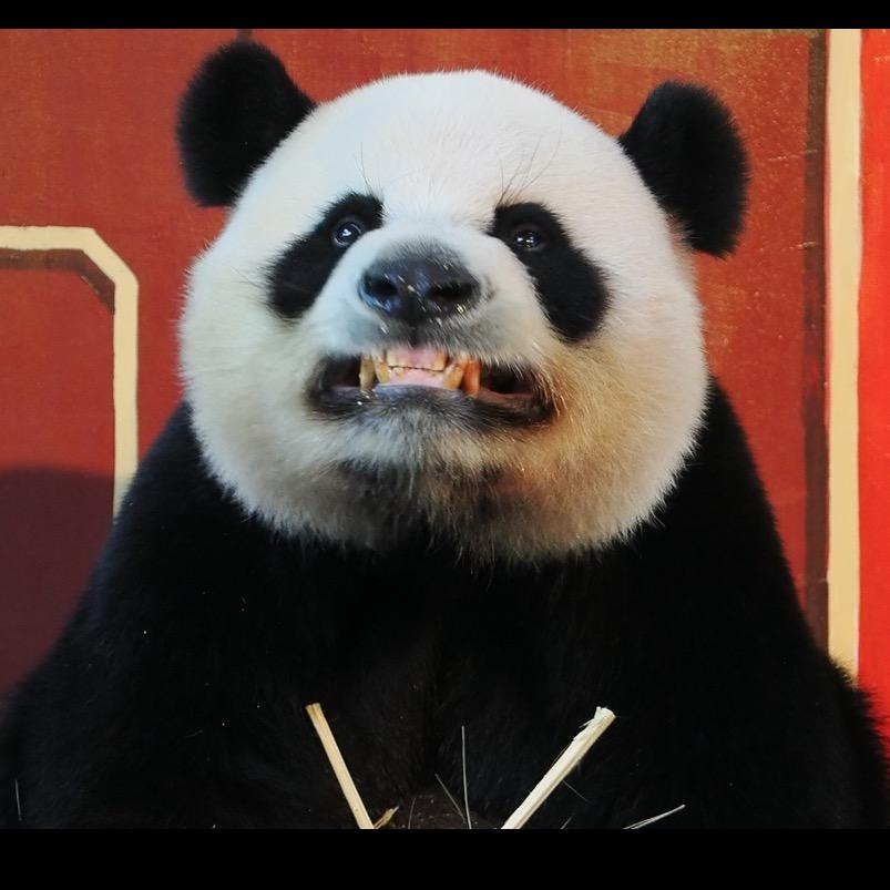 帅帅的精神科病人