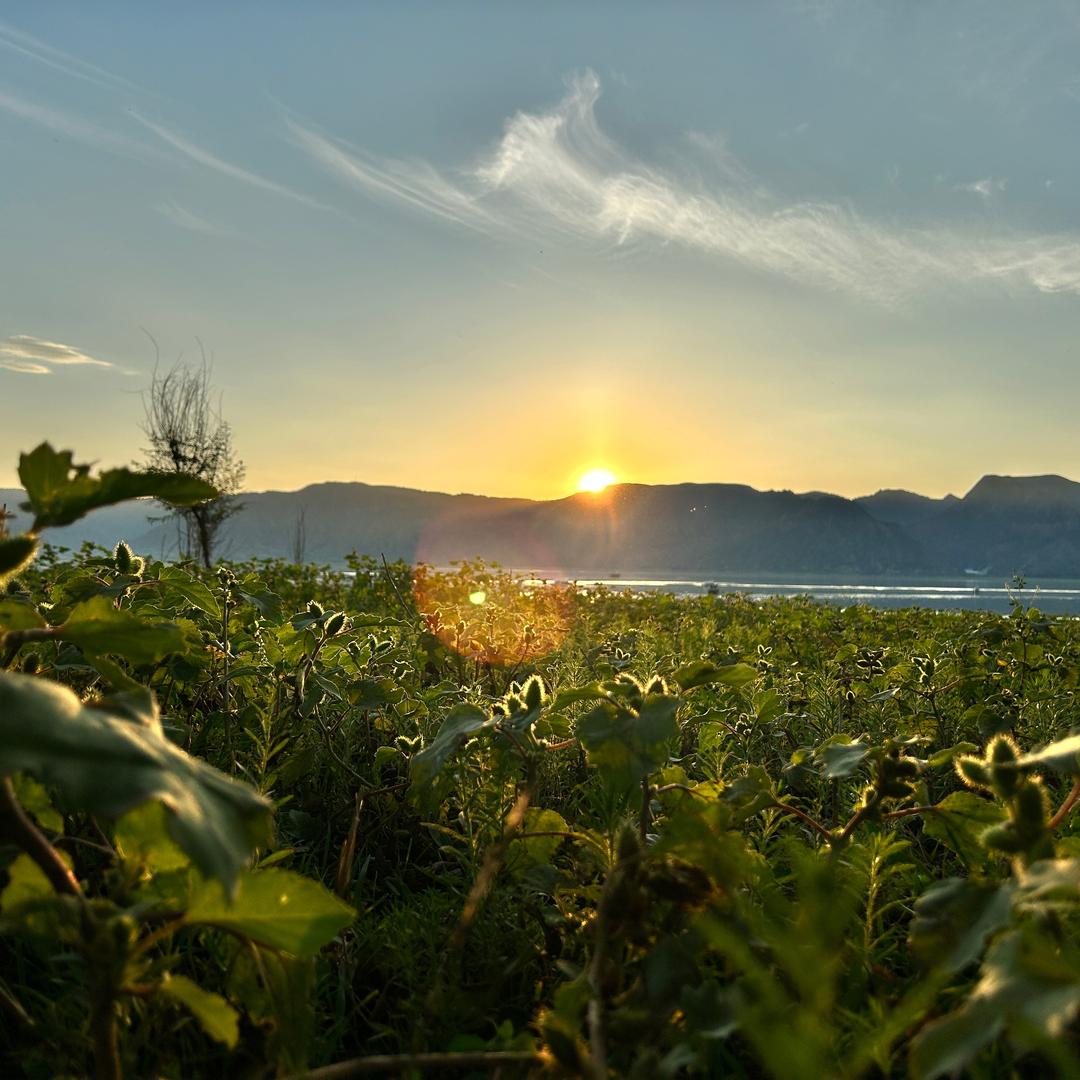 @༺ཉི།格།ཉྀ༻: 局এ᭄