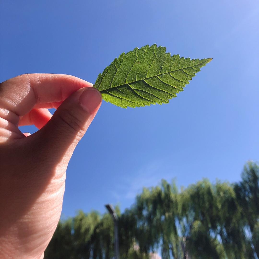雪花飘落海洋