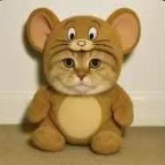那咋了