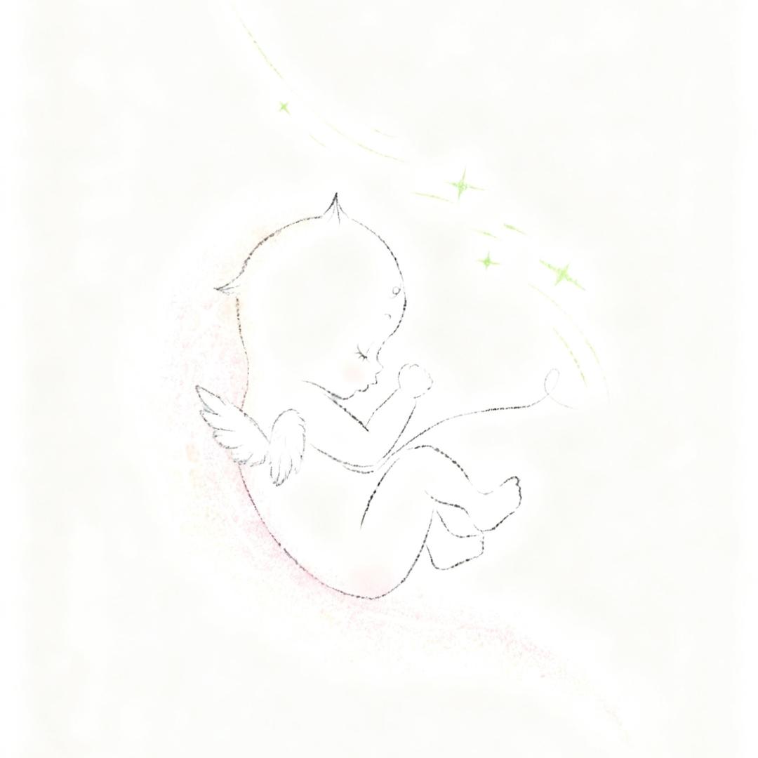 龙