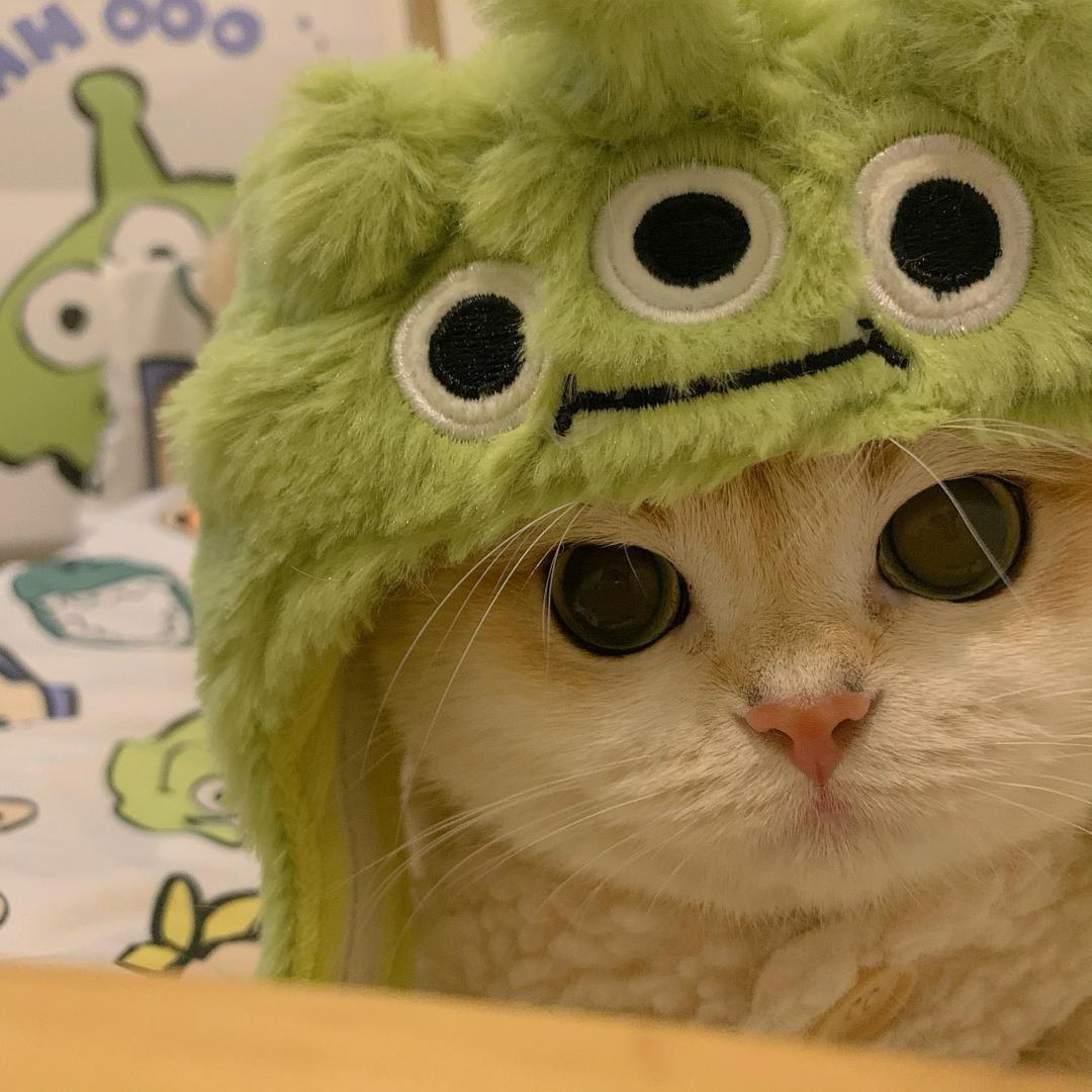 悲伤土豆马铃薯汤