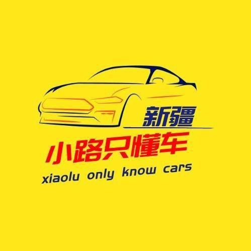 小路只懂车（主营6年或10万公里内）