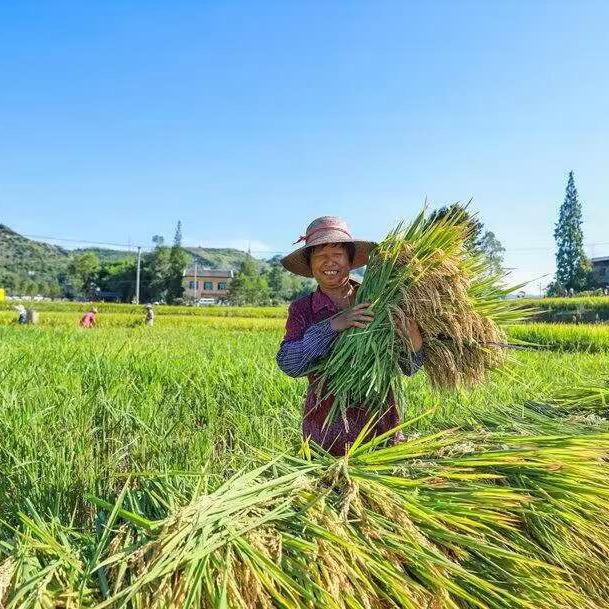 白马山慧海居士