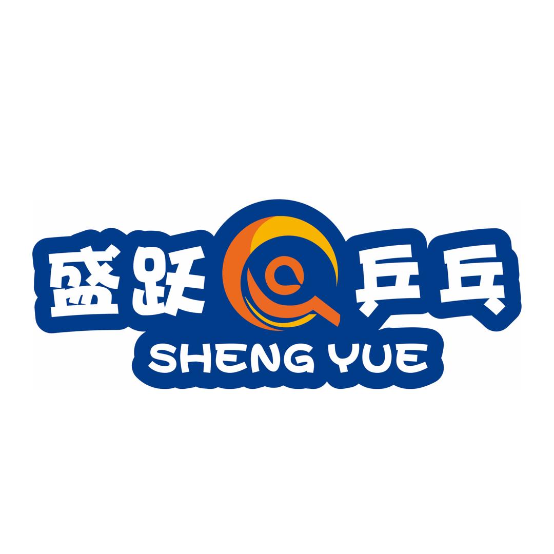 盛跃乒乓(东平)