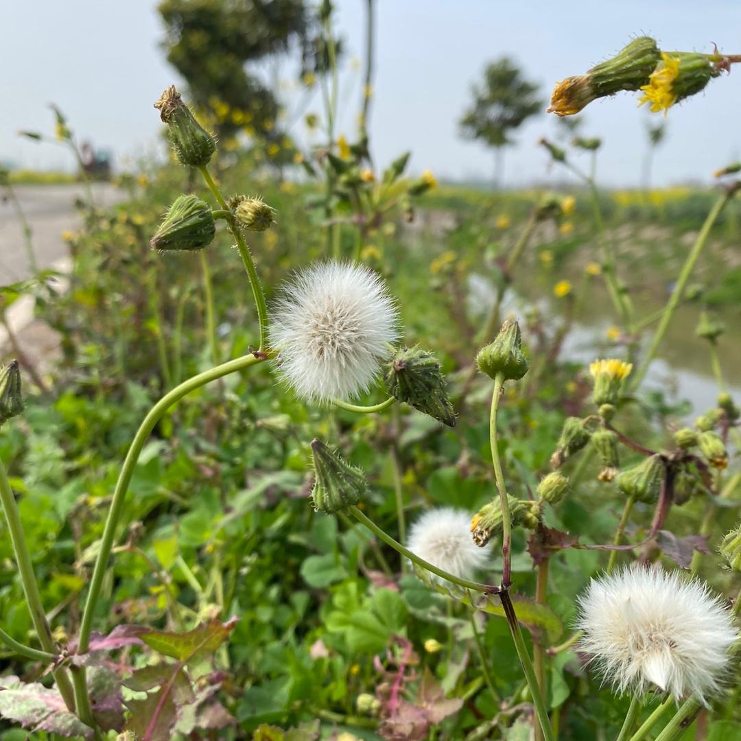 用户5998176997040乐琴