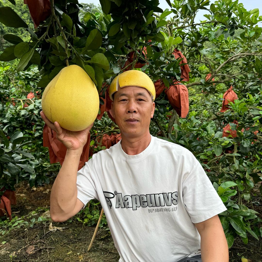姚叔公
