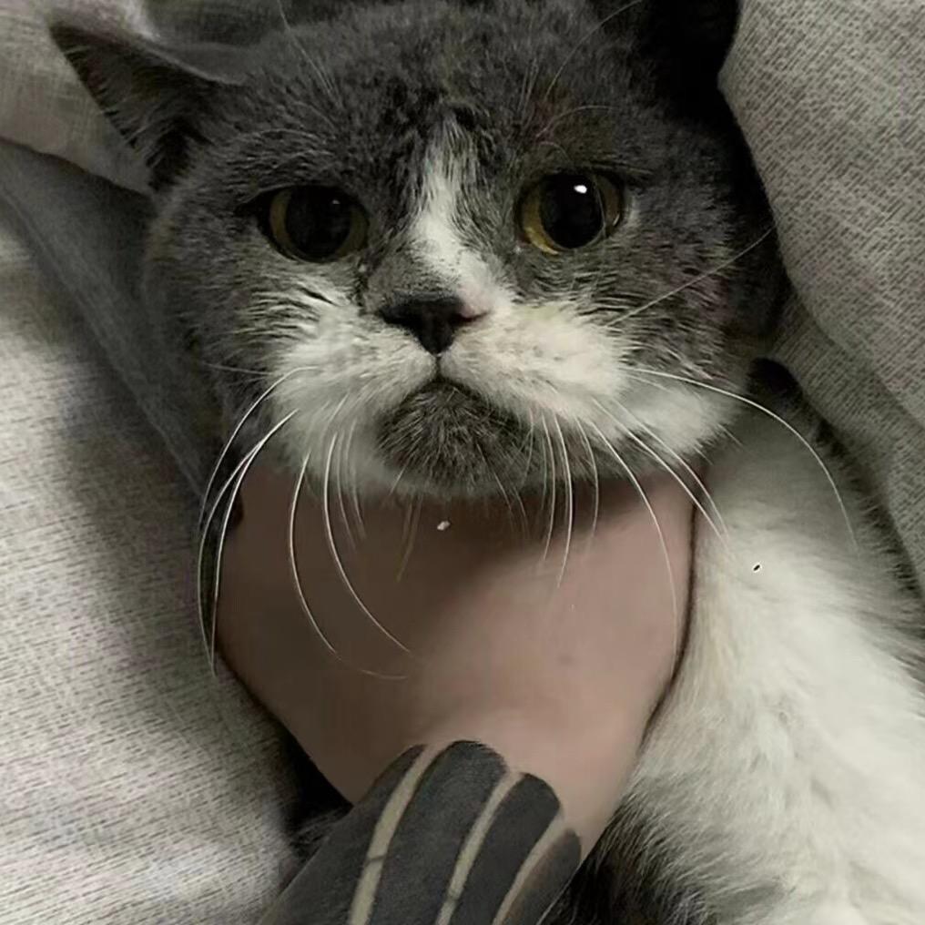 洋 ～