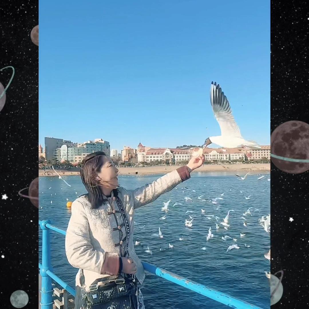 七棵树鑫源煤炭经销站