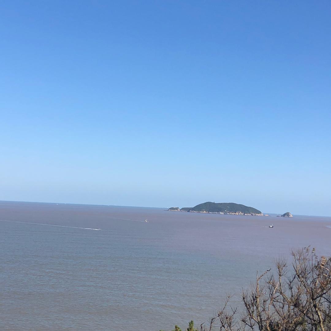盛亿马优选