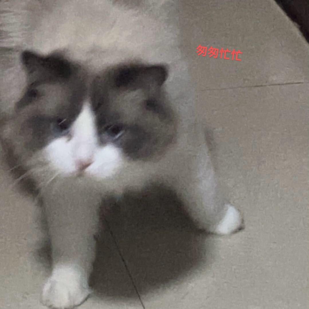 别焦虑