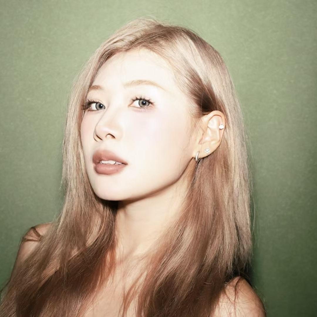 教化妆的鹅