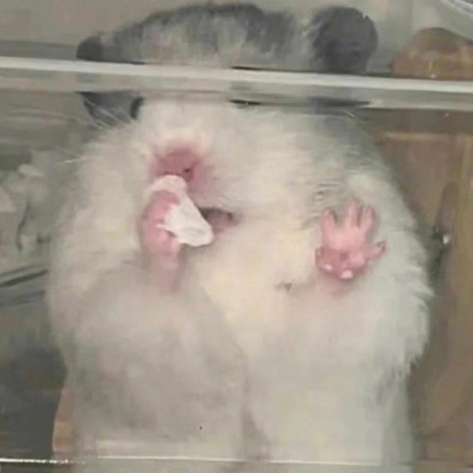 睡觉觉.
