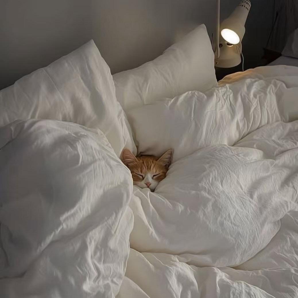 不会拉花𓆜𓆞𓆝𓆟𓆡